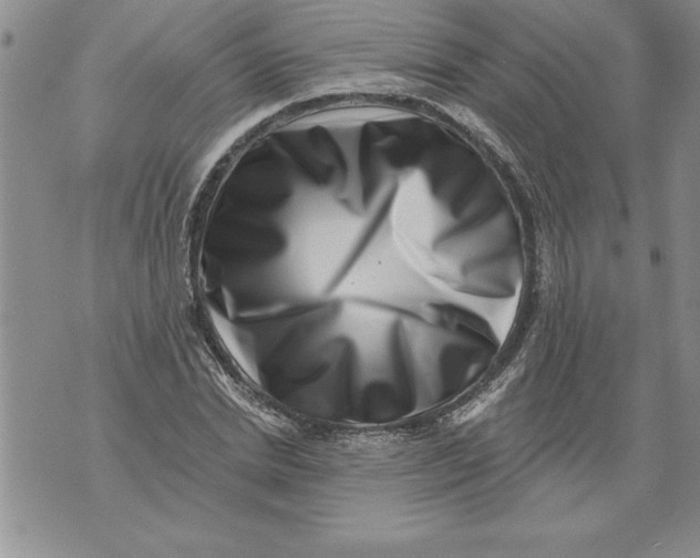 X0000076100830200610152341