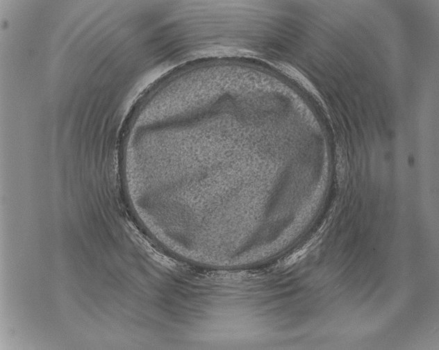 X0000076100831200610152341