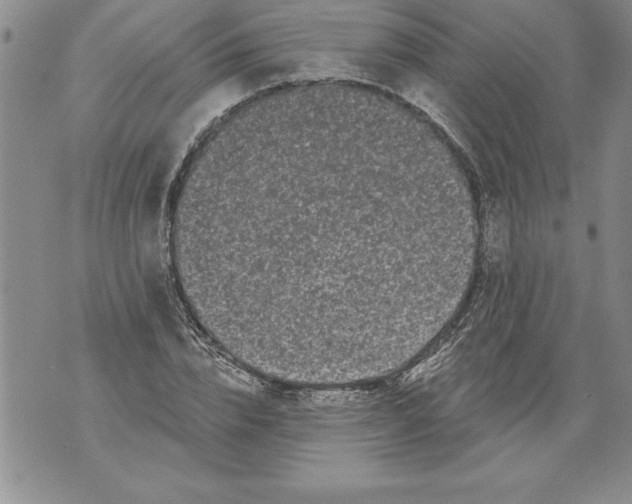 X0000076100832200610152341