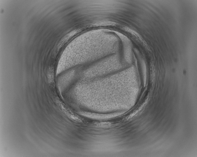 X0000076100833200610152341