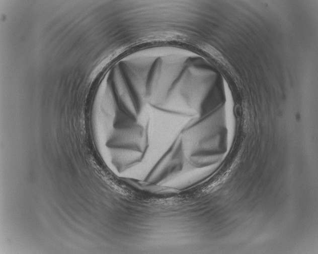 X0000076100834200610152341