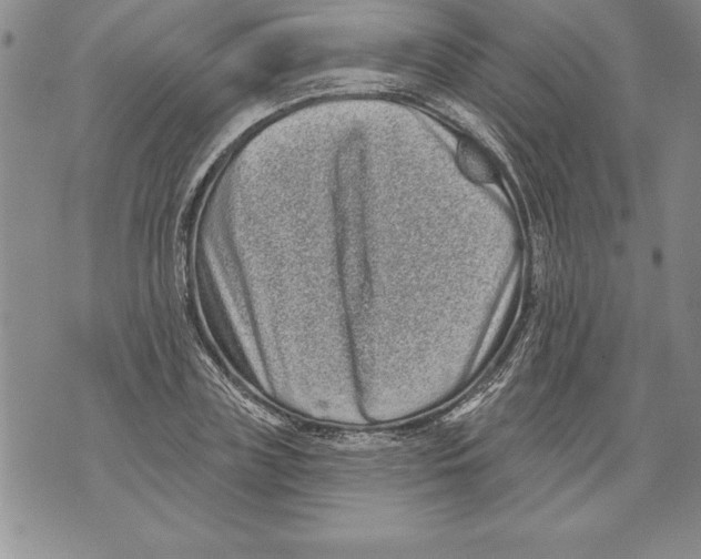 X0000076100835200610152341