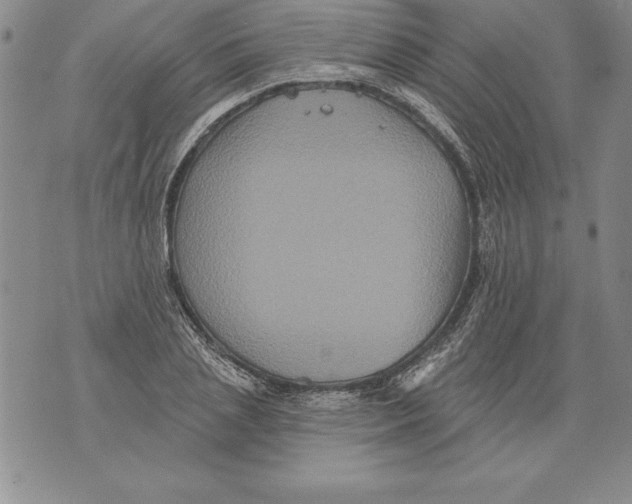 X0000076100837200610152341