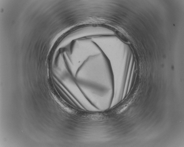 X0000076100838200610152341