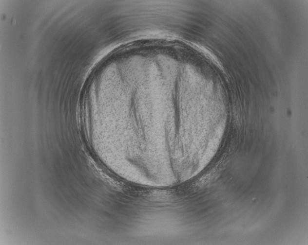 X0000076100839200610152341