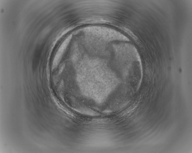 X0000076100840200610152341