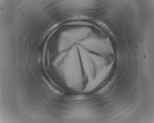 X0000076100841200610152341