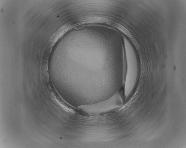 X0000076100842200610152341