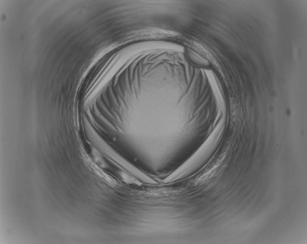 X0000076100843200610152341