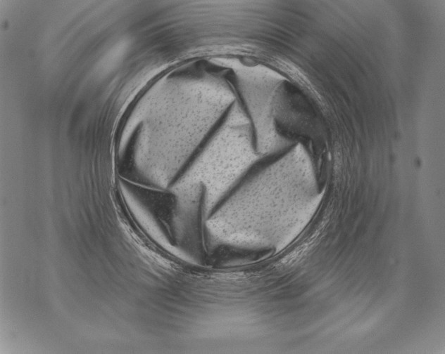 X0000076100844200610152341