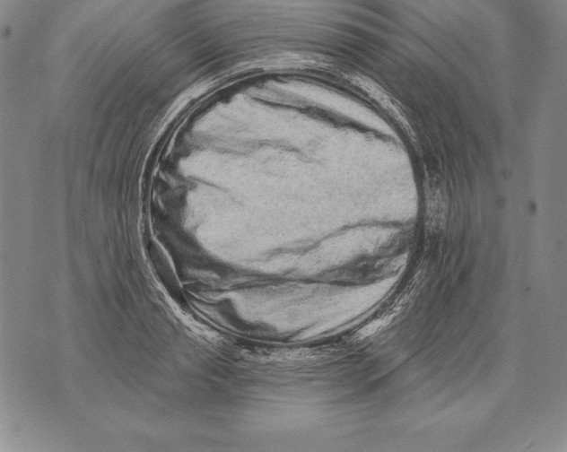 X0000076100845200610152341