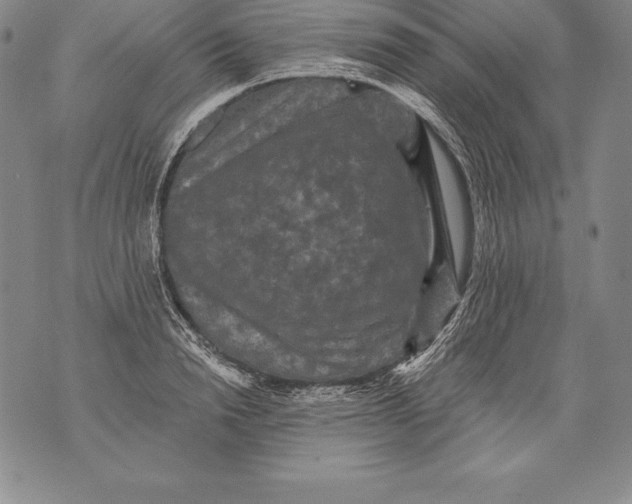 X0000076100846200610152341