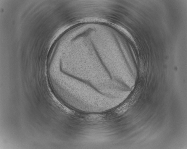 X0000076100847200610152341