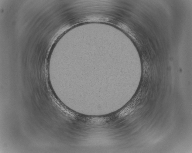 X0000076100848200610152341