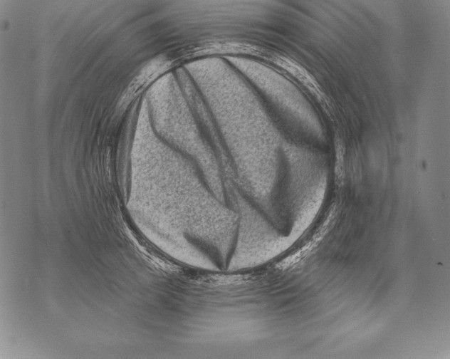 X0000076100849200610152341