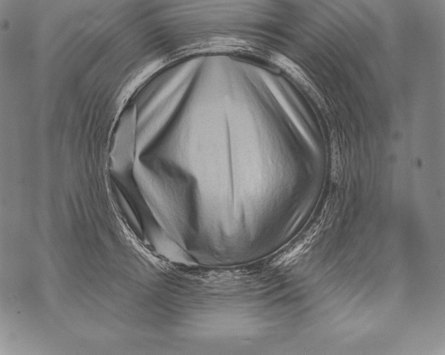 X0000076100850200610152341