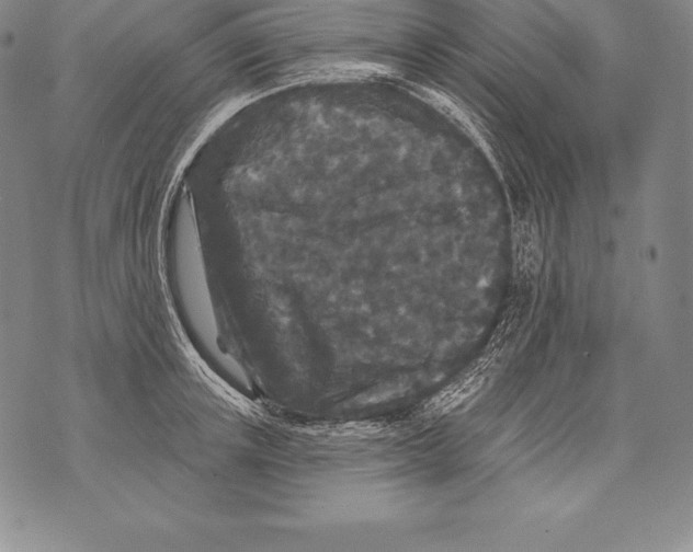 X0000076100851200610152341