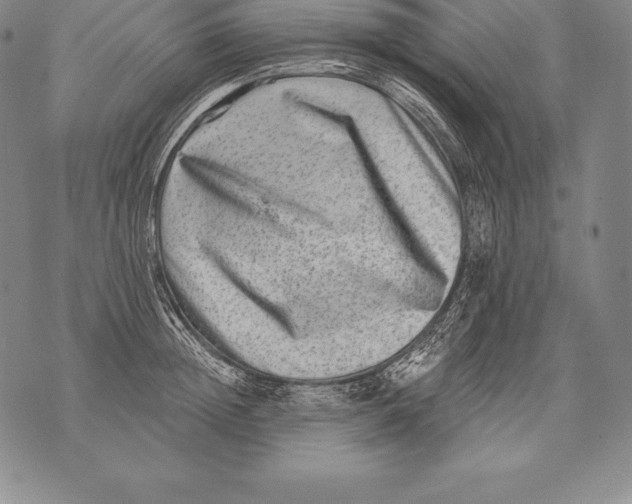 X0000076100852200610152341