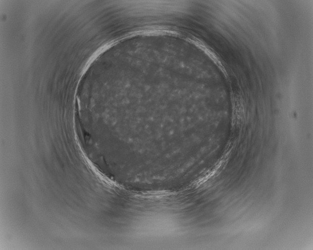 X0000076100853200610152341