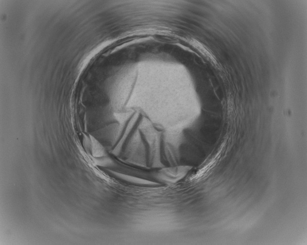 X0000076100854200610152341