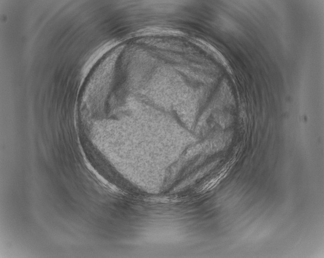 X0000076100855200610152341