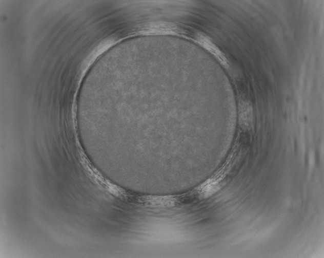 X0000076100856200610152341