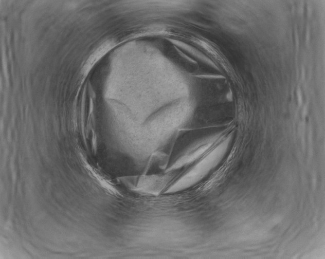 X0000076100858200610152341