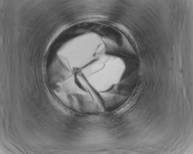 X0000076100859200610152341