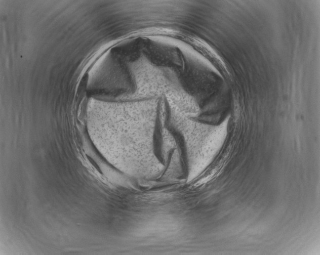 X0000076100860200610152341