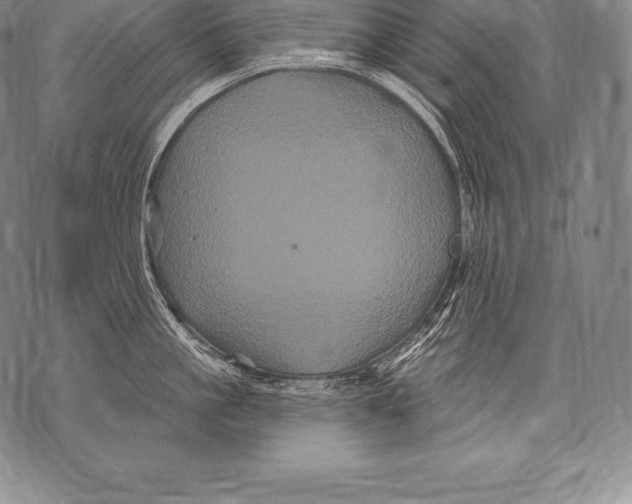 X0000076100861200610152342