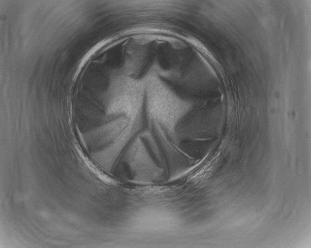 X0000076100862200610152342