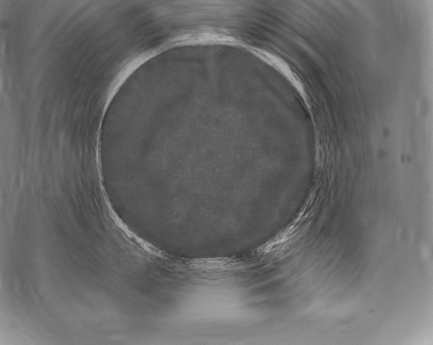 X0000076100863200610152342