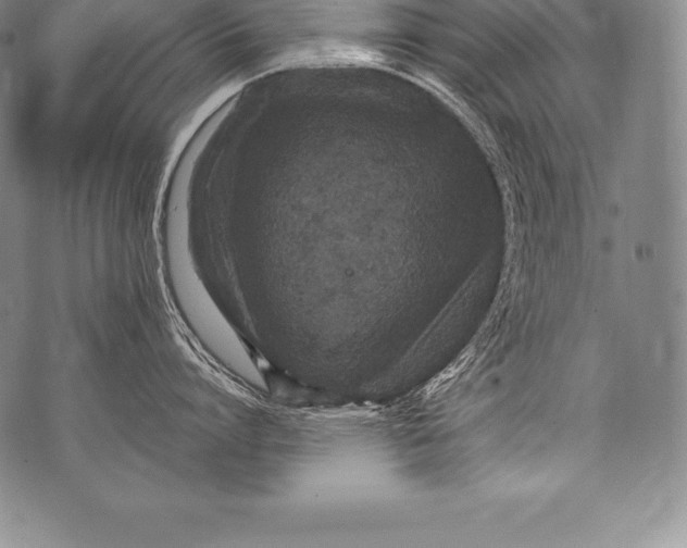 X0000076100864200610152342