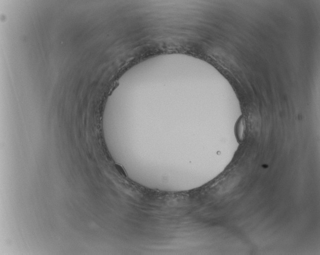 X0000076100865200610152341