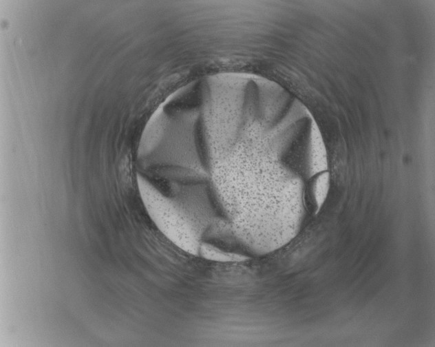 X0000076100866200610152341