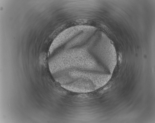 X0000076100867200610152341