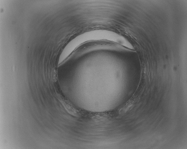 X0000076100868200610152341