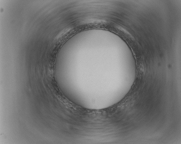 X0000076100869200610152341