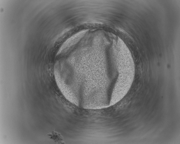 X0000076100870200610152341