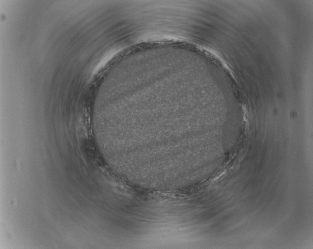 X0000076100871200610152341