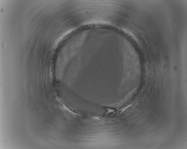 X0000076100872200610152341