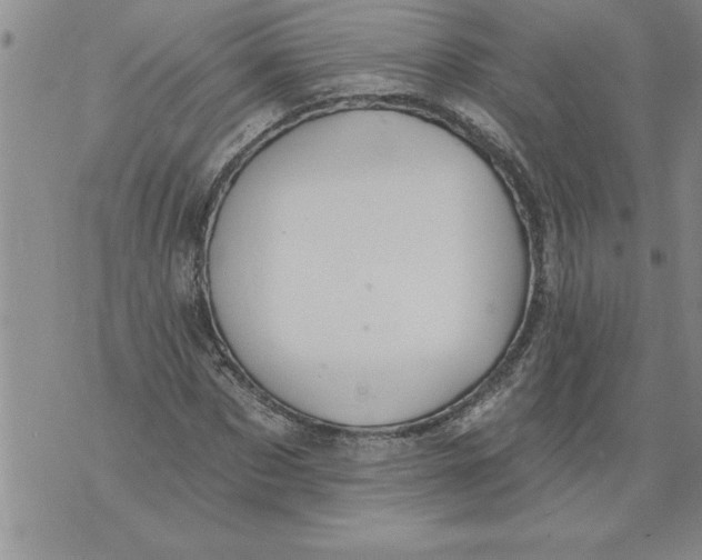 X0000076100873200610152341