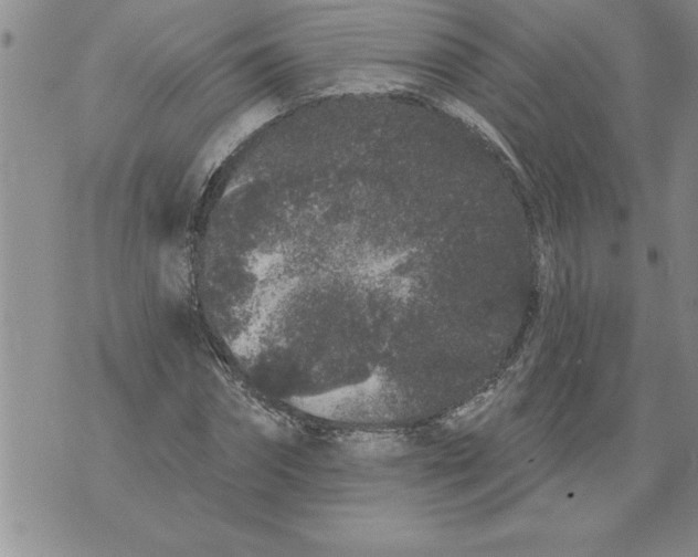 X0000076100874200610152341