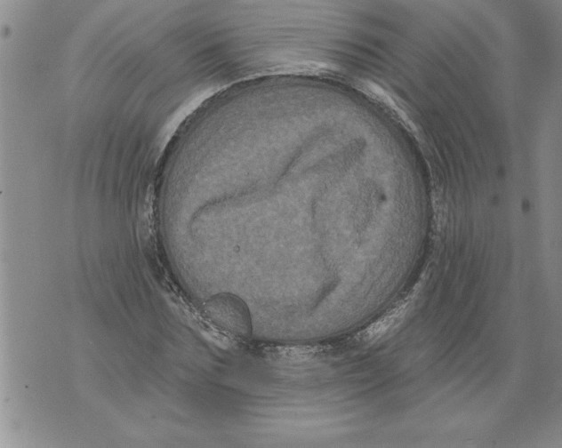 X0000076100875200610152341