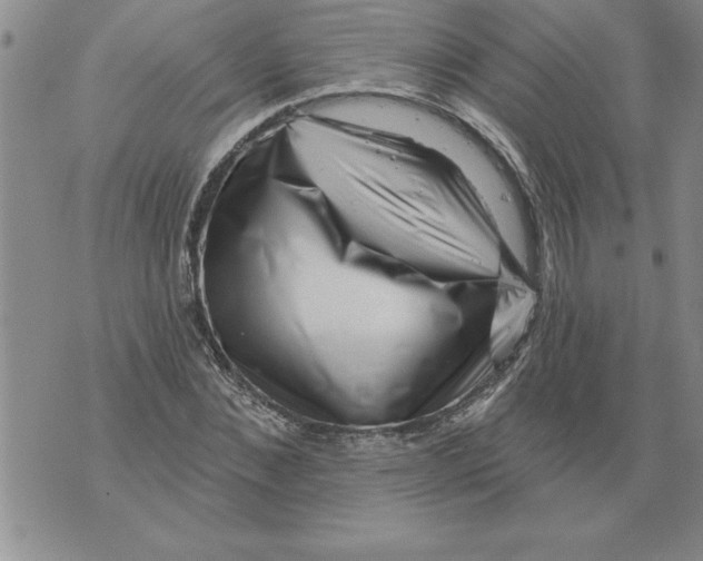 X0000076100876200610152341