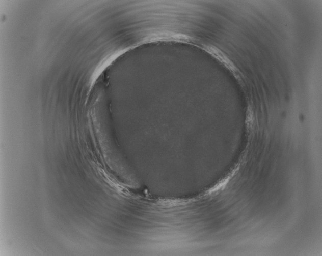 X0000076100877200610152341