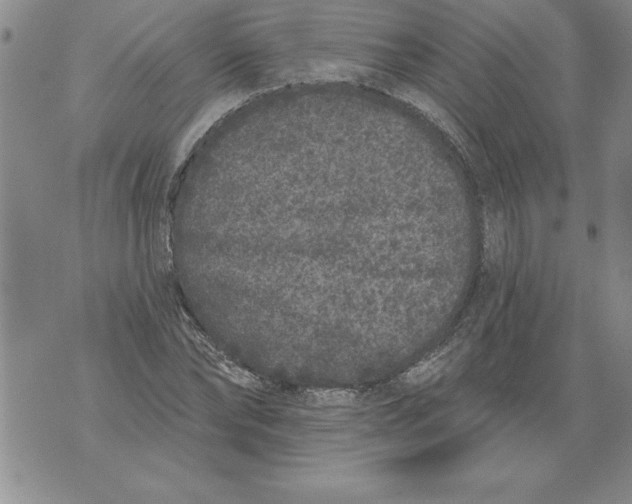 X0000076100878200610152341