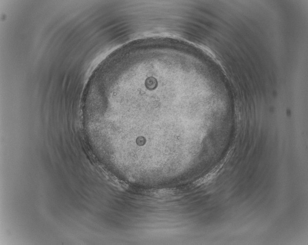 X0000076100879200610152341