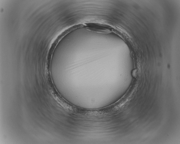 X0000076100880200610152341