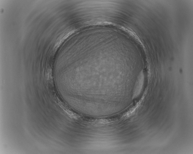 X0000076100881200610152341